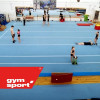 Помост для спортивной гимнастики пружинный GYMSPORT STRONG 7х7 для ковра 7х7