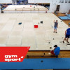 Помост для спортивной гимнастики пружинный GYMSPORT STRONG 7х7 для ковра 7х7
