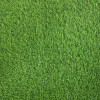 Искусственная трава Grass (Грасс) 35