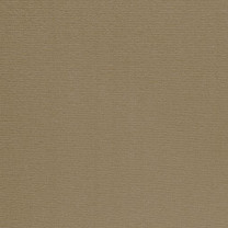 Ковролин ITC Altona (Альтона) 49 .