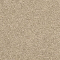 Ковролин AW Confidence (Конфиденс) 37 .