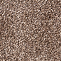 Ковролин Tarkett Dragon (Драгон) 10431 .