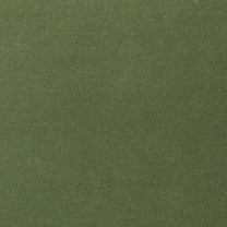 Ковролин AW Velvet Oinone (Оинуан) 24 .