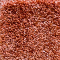 Ковролин AW Masquerade Palio (Палио) 84 Оранжевый.