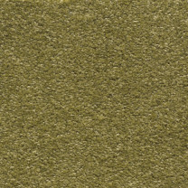 Ковролин AW Invictus Scorpius (Скорпиус) 21 .