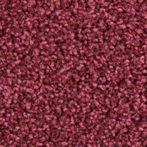 Ковролин Balsan Script (Балсан Скрипт) 580 .