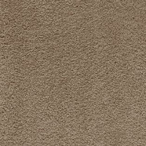 Ковролин AW Sensualite Softissimo (Софтиссимо) 49 .