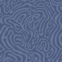 Ковролин ITC Lazio (Лацио) 74 .