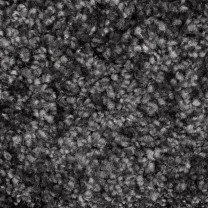 Ковролин AW Sensualite Secret (Сикрет) 99 .