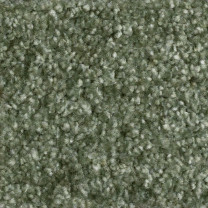 Ковролин AW Masquerade Certosa (Цертоса) 24 .