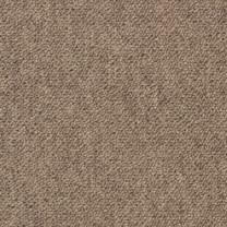 Ковровая плитка Essence (Эссенс) 2925 .