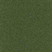 Ковровая плитка Modulyss (Модулус) Perpetual Xtra (Перпечуал Экстра) 60F .