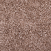 Ковролин AW Sensualite Seduction (Седакшн) 49 .