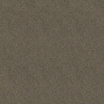 Ковролин Lounge (Лаундж) X4454 .