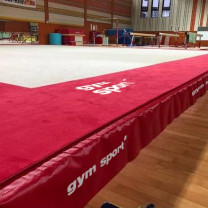 Ковер для спортивной гимнастики GYMSPORT STRONG PREMIUM 14Х14 .