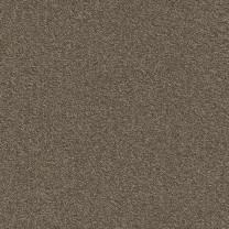 Ковровая плитка Modulyss (Модулус) Millennium Nxtgen (Милленниум Некстген) 140 .