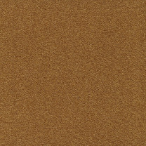 Ковровая плитка Modulyss (Модулус) Perpetual Xtra (Перпечуал Экстра) 21F .