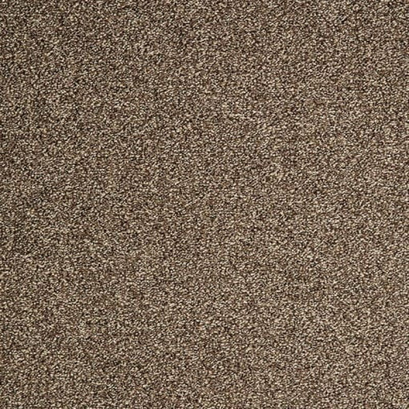 Ковролин ITC Evolve (Ивольв) 049 Коричневый.