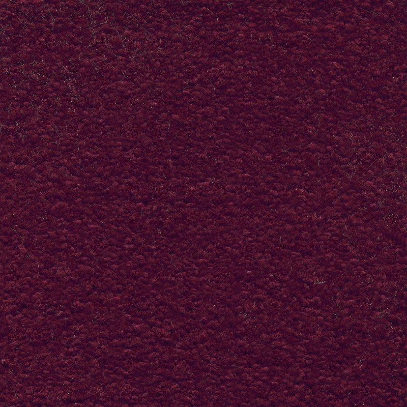 Ковролин AW Invictus Scorpius (Скорпиус) 10 Фиолетовый.