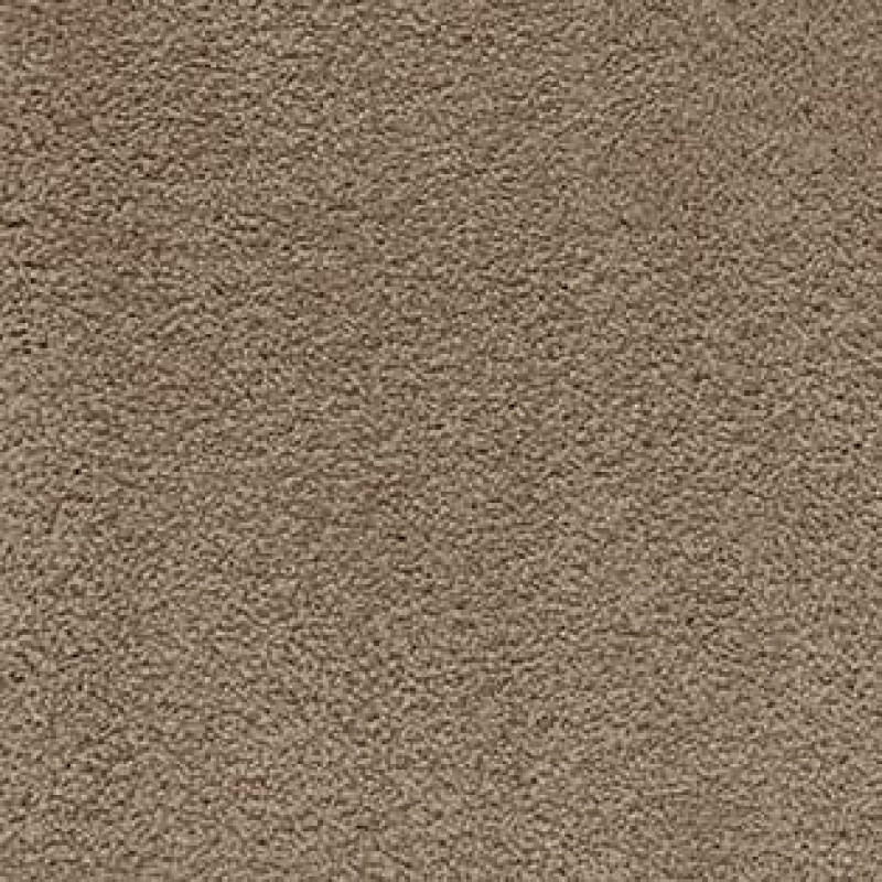 Ковролин AW Sensualite Softissimo (Софтиссимо) 49 Бежевый.