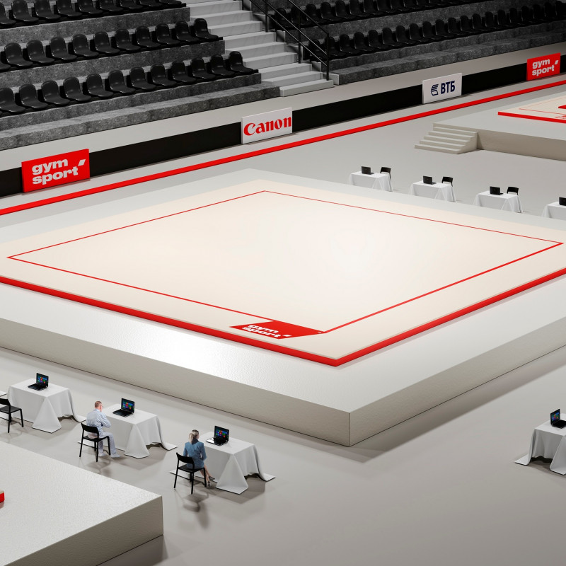 Ковер для художественной гимнастики GYMSPORT PROF PREMIUM (профессиональный) 4Х10Х0.008М Красный.